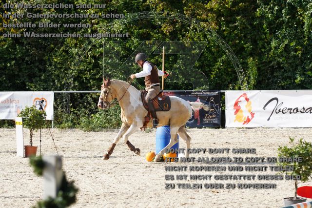 s_DSC05654.JPG